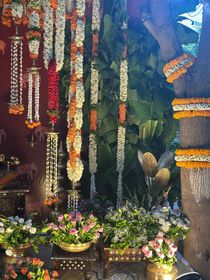 Kaluva event